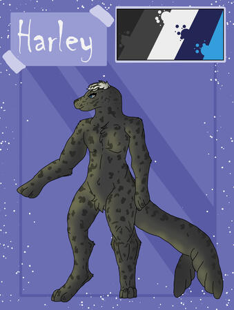 Harley Character Ref